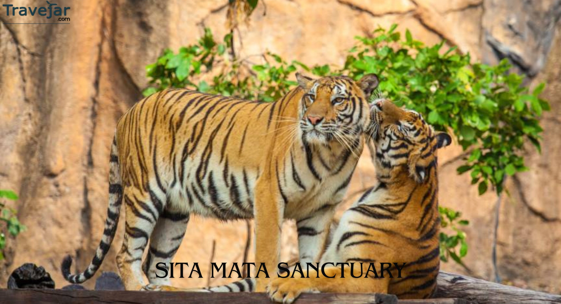 Sita Mata Sanctuary